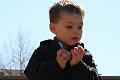 Easter Egg Hunts